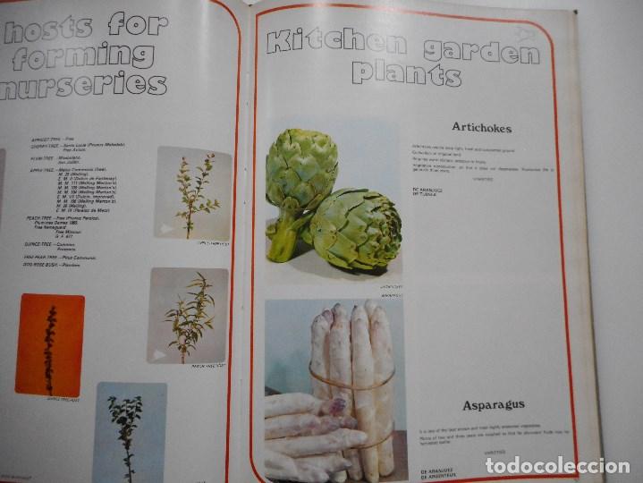 Libros de segunda mano: La horticola aragonesa    Y94419 - Foto 3