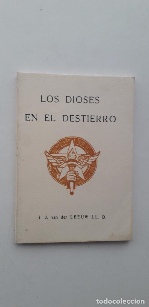 Libros de segunda mano: LOS DIOSES EN EL DESTIERRO - J.J. VAN DER LEEUW LL. D. - Foto 1