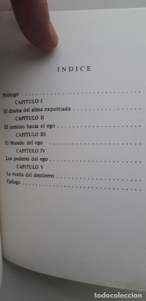Libros de segunda mano: LOS DIOSES EN EL DESTIERRO - J.J. VAN DER LEEUW LL. D. - Foto 5