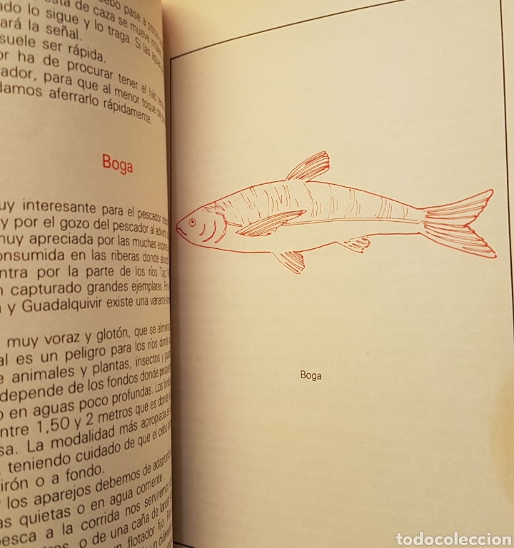 Libros de segunda mano: Libro la pesca en el r&iacute;o 1989 editorial vechi - Foto 3
