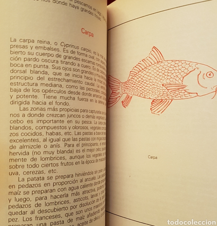 Libros de segunda mano: Libro la pesca en el r&iacute;o 1989 editorial vechi - Foto 5