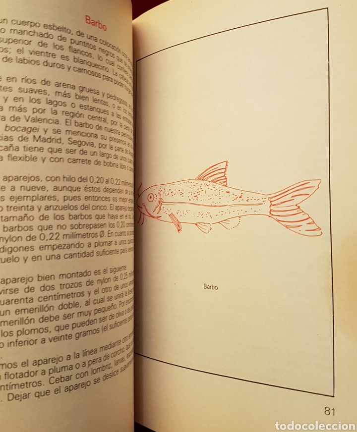 Libros de segunda mano: Libro la pesca en el r&iacute;o 1989 editorial vechi - Foto 6