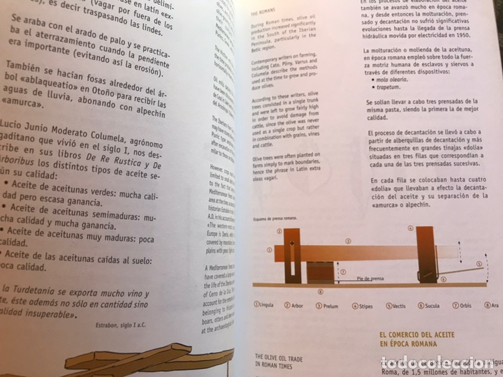 Libros de segunda mano: Museo hist&oacute;rico de Almedinilla - Foto 6