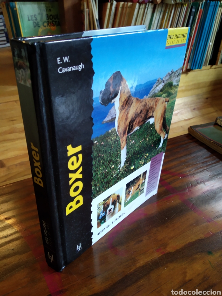 Libros de segunda mano: BOXER. E.W. CAVANAUGH #0442 - Foto 1