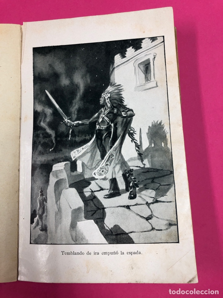 Libros de segunda mano: Los bandidos de la selva. Fani. Araluce editor - Foto 3