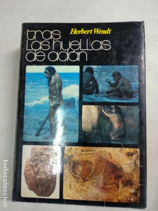 Libros de segunda mano: TRAS LAS HUELLAS DE AD&Aacute;N - WENDT, HERBERT - Foto 1