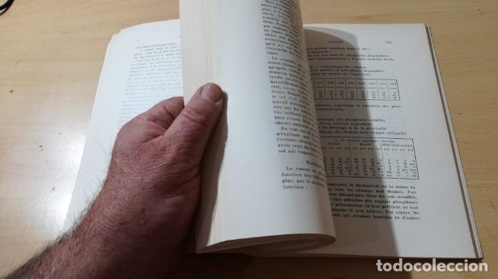 Libros de segunda mano: LA FECONDITE DE LA TERRE	 / 	E PFEIFFER	 / 	TRIADES	 / 	EN FRANCES	 / 	I-302 - Foto 9