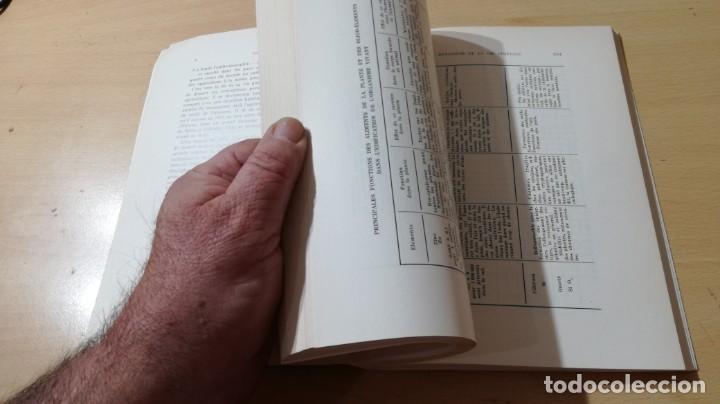 Libros de segunda mano: LA FECONDITE DE LA TERRE	 / 	E PFEIFFER	 / 	TRIADES	 / 	EN FRANCES	 / 	I-302 - Foto 10