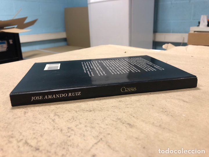 Libros de segunda mano: CRISIS. JOS&Eacute; AMANDO RUIZ. E.M. DE EDICIONES 1994. 196 P&Aacute;GINAS. - Foto 9