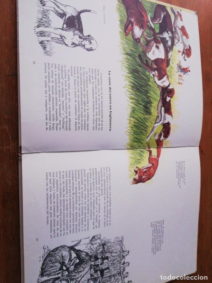 Libros de segunda mano: El perro nuestro amigo. - Foto 4