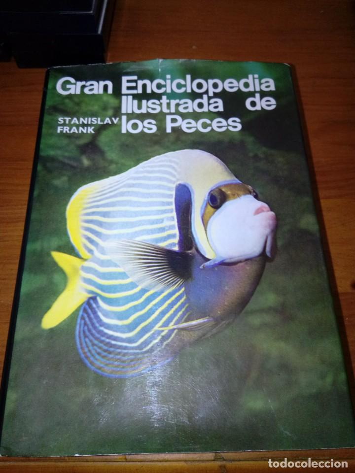 Libros de segunda mano: GRAN ENCICLOPEDIA ILUSTRADA DE LOS PECES. STANISLAV FRANK. EST21B4 - Foto 1