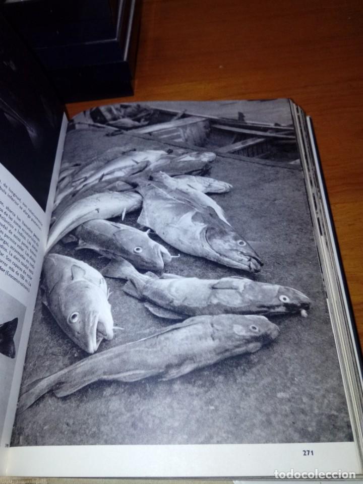 Libros de segunda mano: GRAN ENCICLOPEDIA ILUSTRADA DE LOS PECES. STANISLAV FRANK. EST21B4 - Foto 3