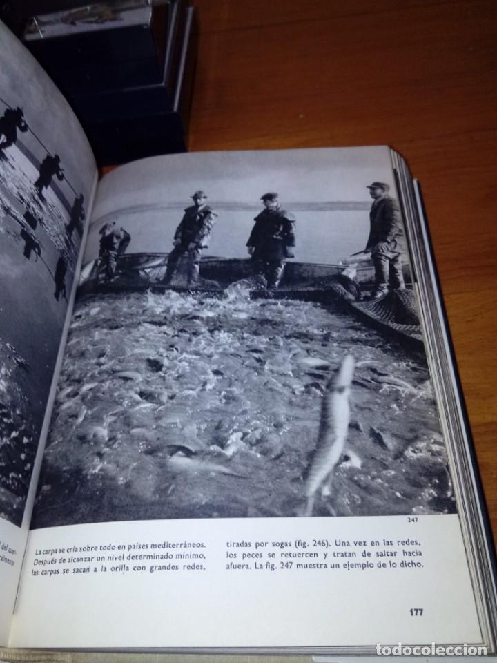 Libros de segunda mano: GRAN ENCICLOPEDIA ILUSTRADA DE LOS PECES. STANISLAV FRANK. EST21B4 - Foto 4