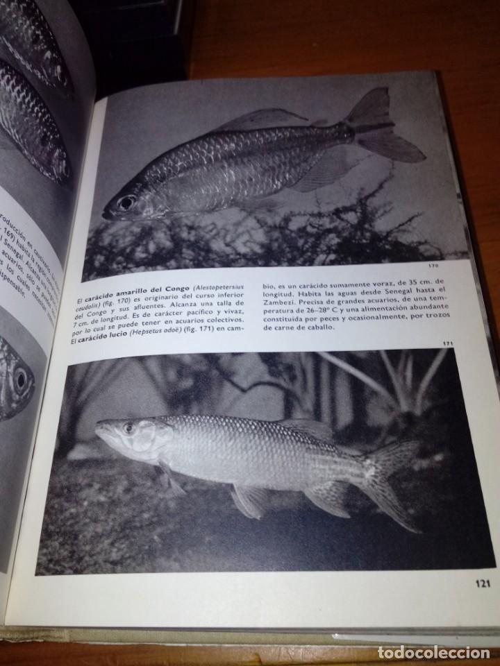 Libros de segunda mano: GRAN ENCICLOPEDIA ILUSTRADA DE LOS PECES. STANISLAV FRANK. EST21B4 - Foto 5