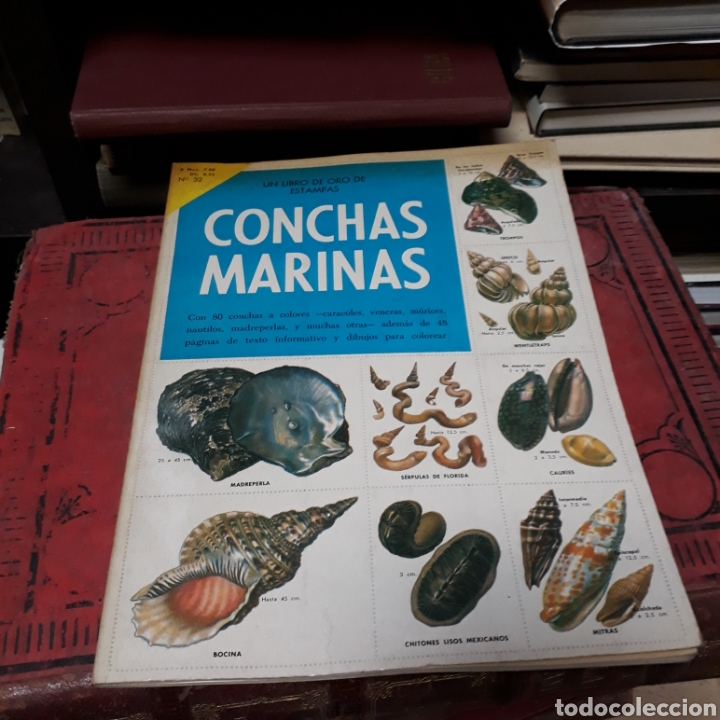 Libros de segunda mano: Un libro de oro de estampas Conchas Marinas, n&uacute;mero 32 - Foto 1