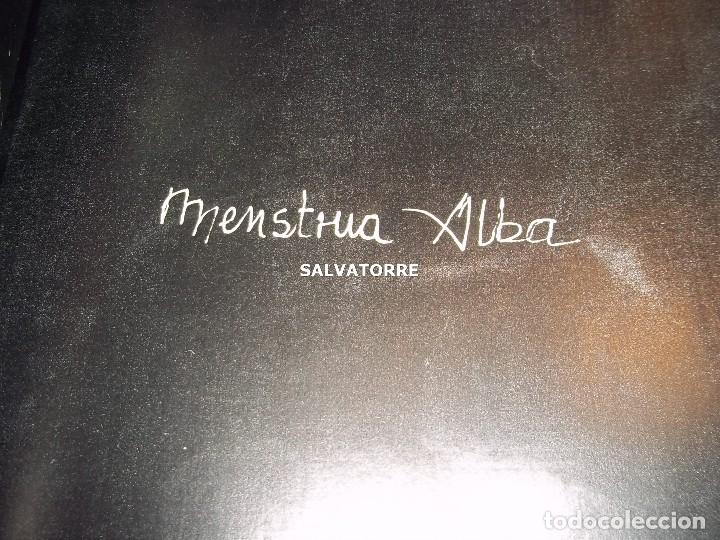Libros de segunda mano: MENSTRUA ALBA.CUADERNO DE ARTE.VERANO OTTO&Ntilde;O 1986.SAN MIGUEL DE LA PALMA.CANARIAS.CANARIO