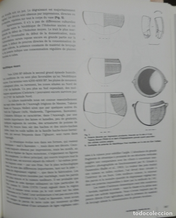Libros de segunda mano: Vall&eacute;es du Niger - VARIOS - Foto 3