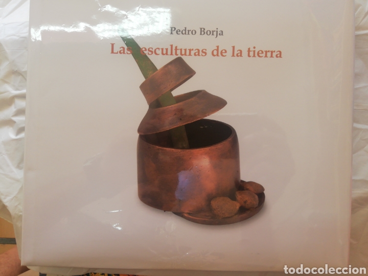Libros de segunda mano: Pedro Borja. Las esculturas de tierra. Almudi - Foto 1