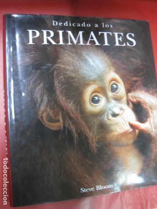 Libros de segunda mano: DEDICADO A LOS PRIMATES. STEVE BLOOM.  KONEMAN 1999 - Foto 1