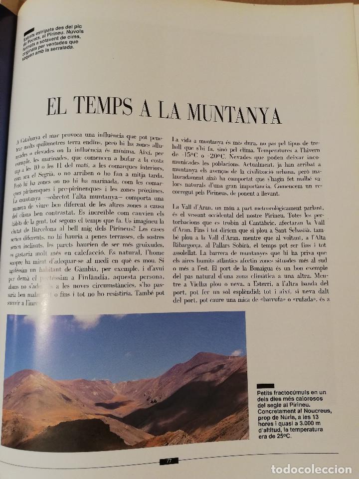 Libros de segunda mano: OBSERVANT EL TEMPS (ALFRED RODR&Iacute;GUEZ PIC&Oacute;) P&Ograve;RTIC - Foto 9