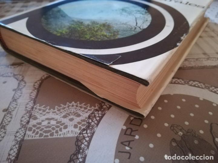 Libros de segunda mano: Ciencias f&iacute;sicas y naturales - Luis Postigo - Foto 3
