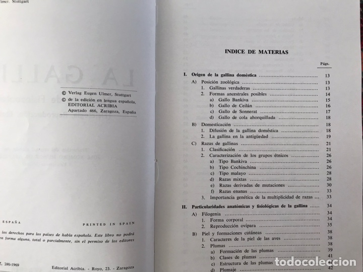 Libros de segunda mano: La gallina. A. Mehner - Foto 2