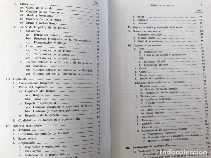 Libros de segunda mano: La gallina. A. Mehner - Foto 3
