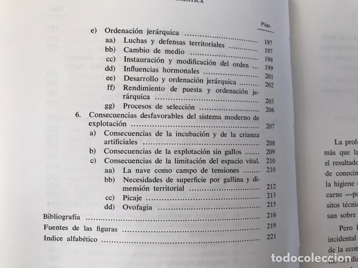 Libros de segunda mano: La gallina. A. Mehner - Foto 5