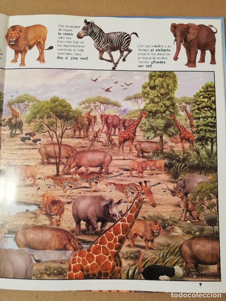 Libros de segunda mano: BUSCA LOS ANIMALES DE LA SELVA (SUSAETA) - Foto 3