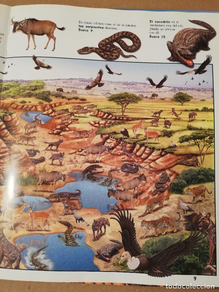 Libros de segunda mano: BUSCA LOS ANIMALES DE LA SELVA (SUSAETA) - Foto 4