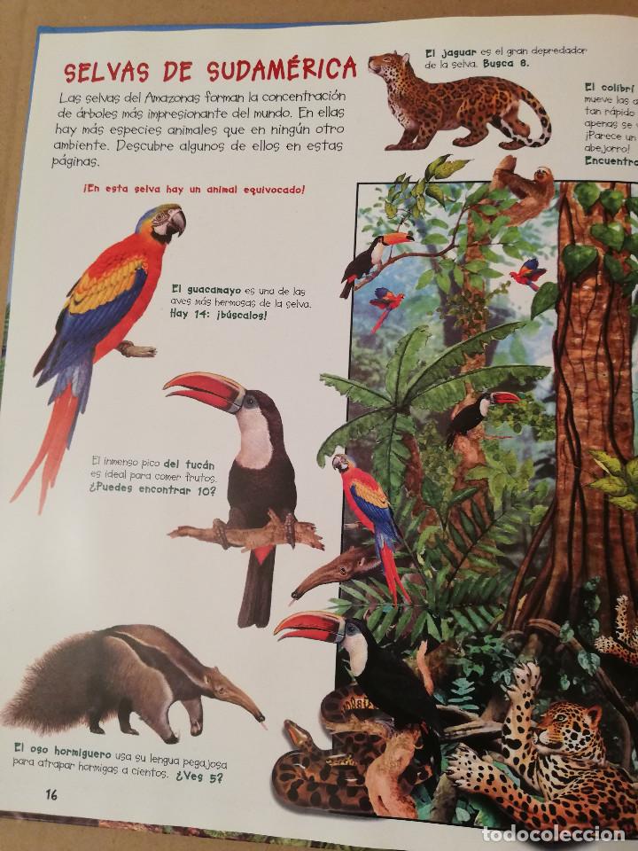 Libros de segunda mano: BUSCA LOS ANIMALES DE LA SELVA (SUSAETA) - Foto 5