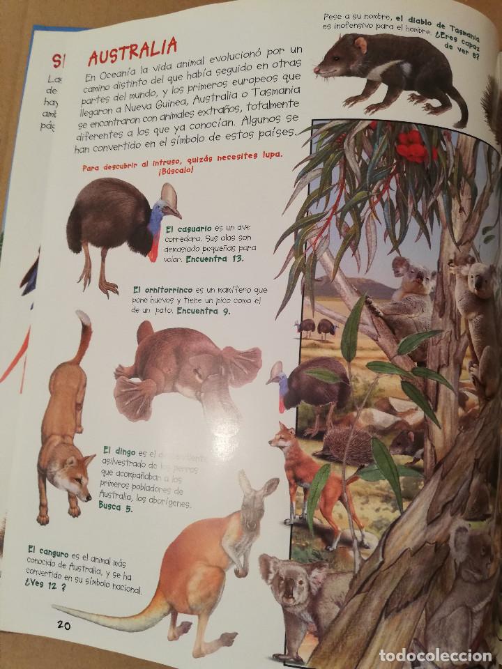 Libros de segunda mano: BUSCA LOS ANIMALES DE LA SELVA (SUSAETA) - Foto 6
