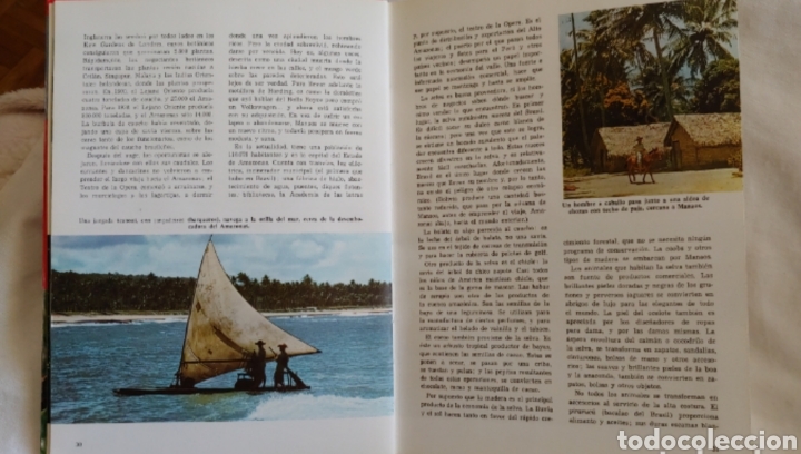 Libros de segunda mano: Maravillas de la selva de Walt Disney - Foto 3