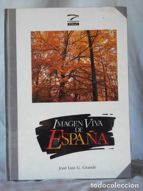 Libros de segunda mano: IMAGEN VIVA DE ESPA&Ntilde;A - Foto 1