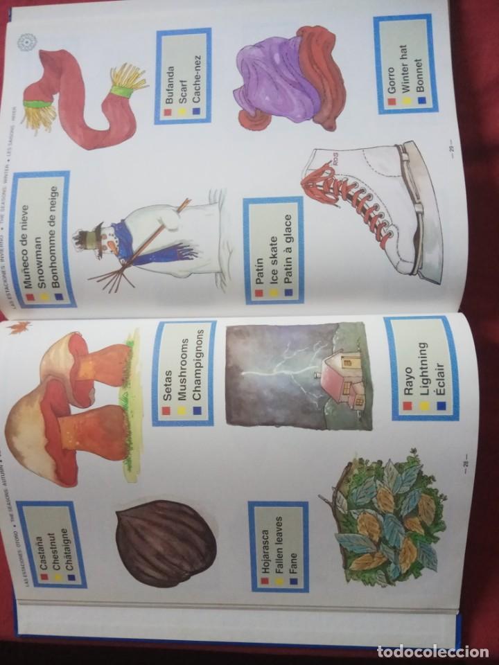 Libros de segunda mano: Mi primer gran libro de las palabras en 3 idiomas.LIBSA 1994. - Foto 6
