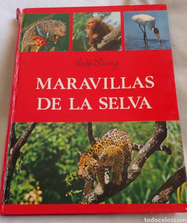 Libros de segunda mano: Maravillas de la selva de Walt Disney - Foto 1