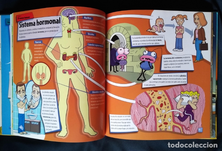 Libros de segunda mano: HORMIGOPEDIA DE TRANCAS Y BARRANCAS | EDITORIAL ESPASA LIBROS | 2009 - Foto 6