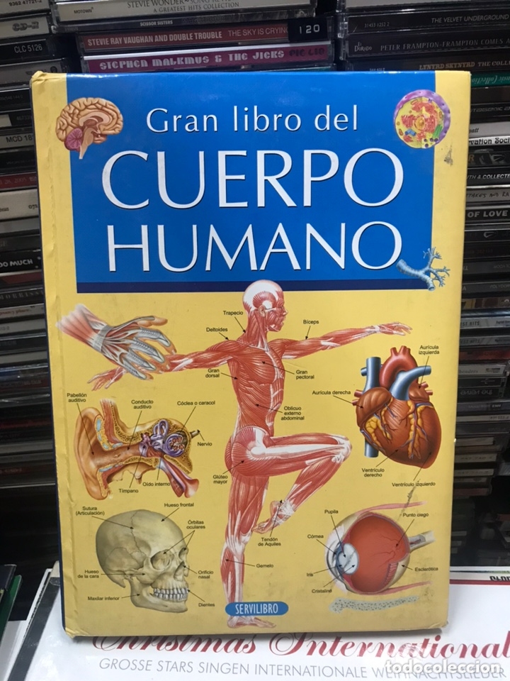Libros de segunda mano: Gran libro del cuerpo humano - Foto 1