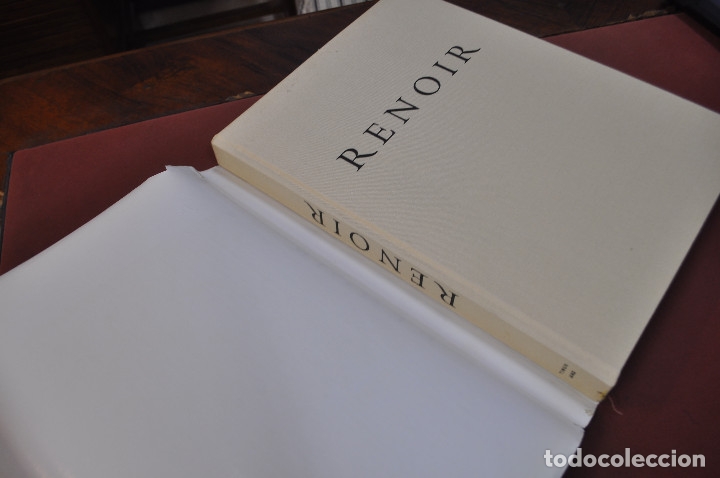 Libros de segunda mano: Renoir - walter pach - AR10 - Foto 2