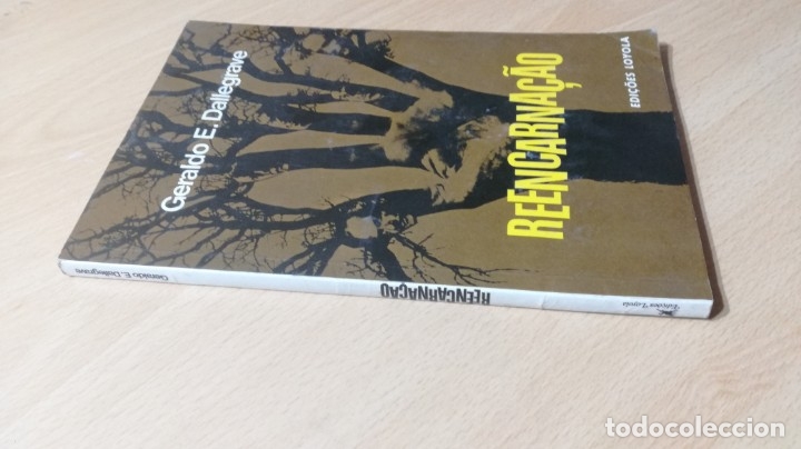 Libros de segunda mano: REENCARNA&Ccedil;&Atilde;O - GERALDO E DALLEGRAVE- EN PORTUGUES	 / 	TEXTO 38 - Foto 1