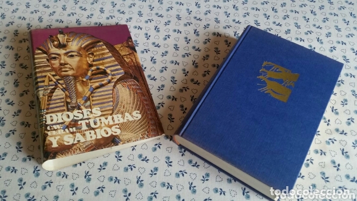 Libros de segunda mano: Dioses, tumbas y sabios Tomo - Foto 6