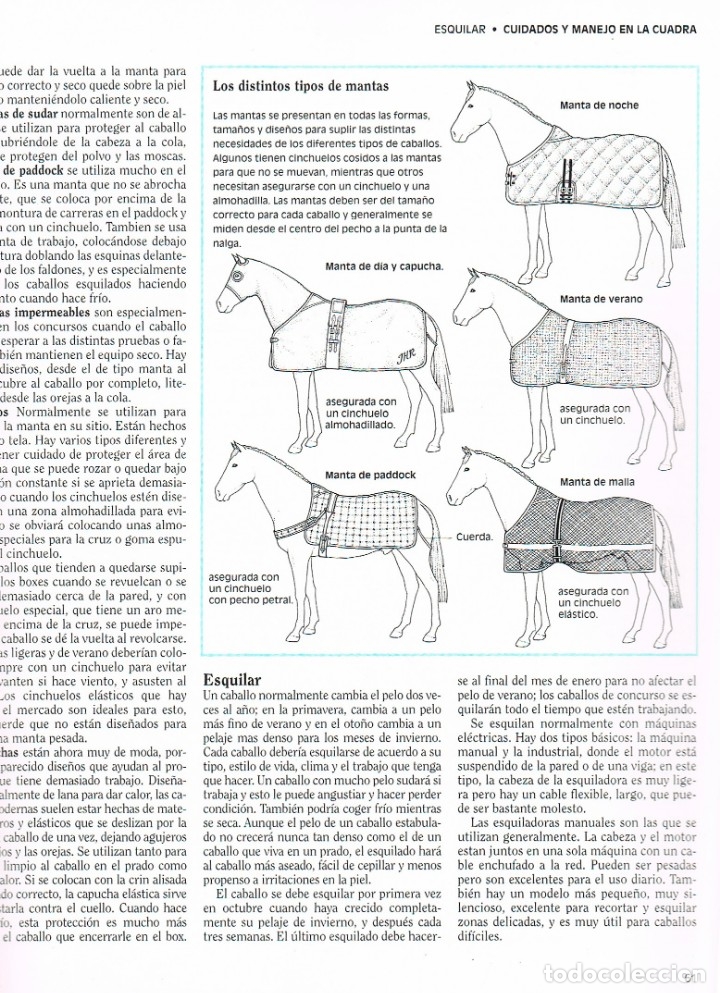 Libros de segunda mano: GUIA COMPLETA DEL CABALLO (JANE HOLDERNESS) - Foto 2