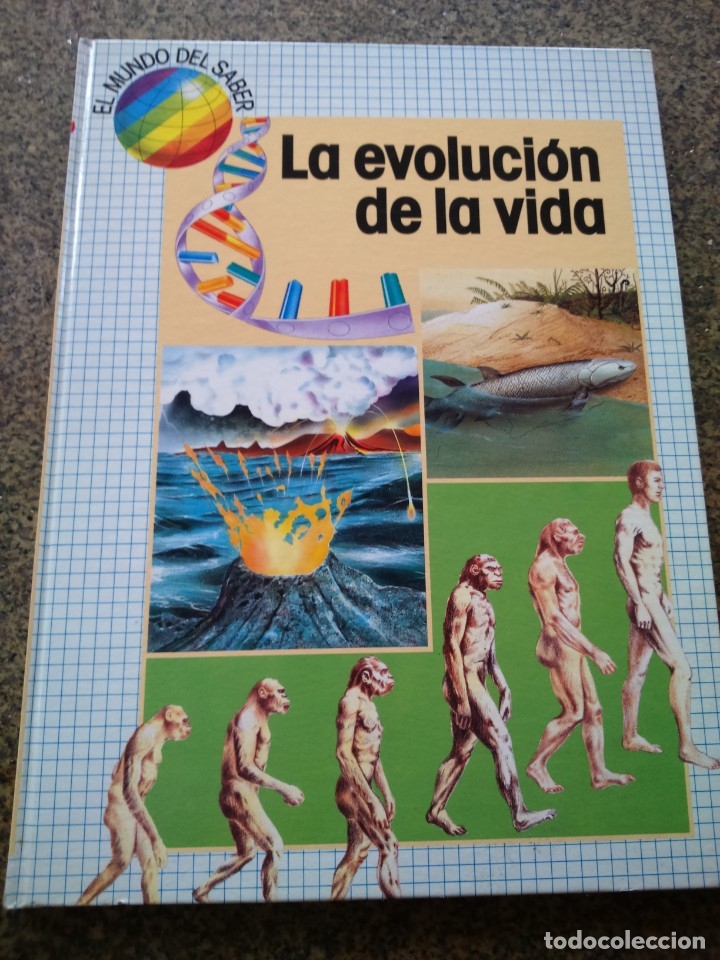 Libros de segunda mano: EL MUNDO DEL SABER - LA EVOLUCION DE LA VIDA -- CIRCULO -- - Foto 1