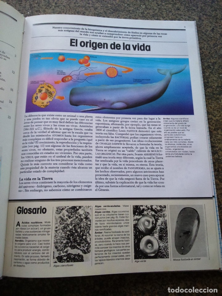 Libros de segunda mano: EL MUNDO DEL SABER - LA EVOLUCION DE LA VIDA -- CIRCULO -- - Foto 2