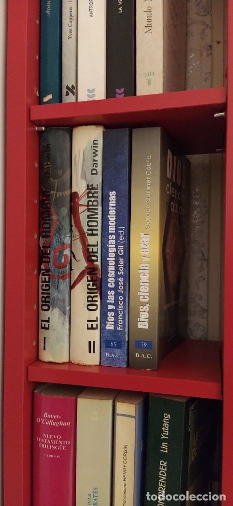 Libros de segunda mano: Dios, Ciencia y Azar .  Segundo GUTI&Eacute;RREZ CABRIA. - Foto 8