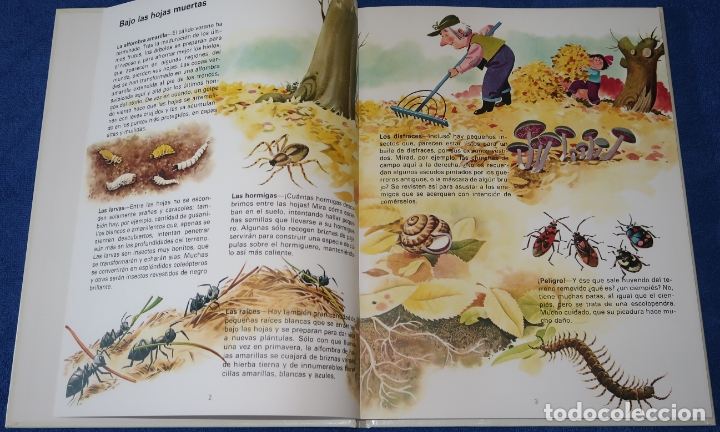 Libros de segunda mano: El libro del ambiente - Ediciones C&oacute;dice (1985) - Foto 3