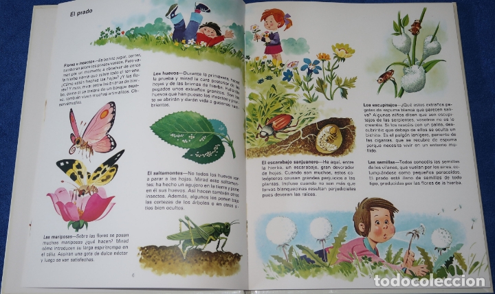 Libros de segunda mano: El libro del ambiente - Ediciones C&oacute;dice (1985) - Foto 4