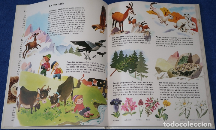 Libros de segunda mano: El libro del ambiente - Ediciones C&oacute;dice (1985) - Foto 6