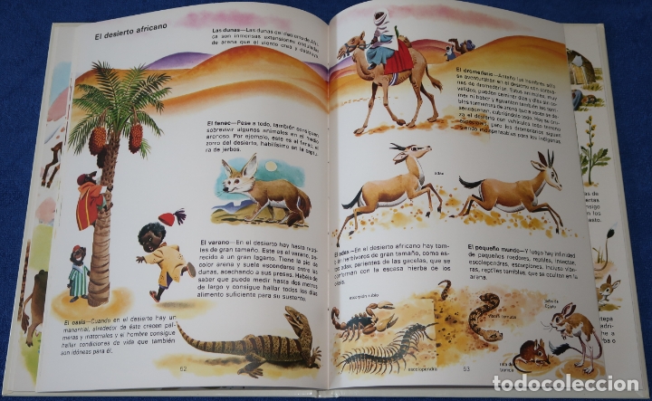 Libros de segunda mano: El libro del ambiente - Ediciones C&oacute;dice (1985) - Foto 7