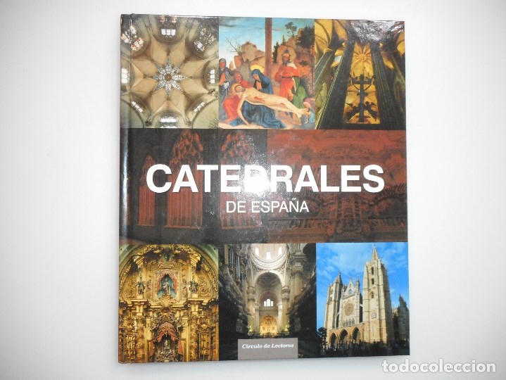 Libros de segunda mano: PEDRO NAVASCU&Eacute;S PALACIO Catedrales de Espa&ntilde;a Y95615 - Foto 1